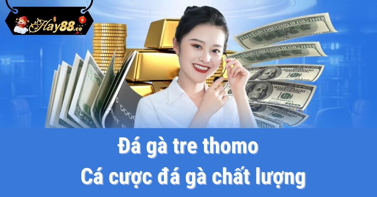 đá gà tre thomo tại Hay88