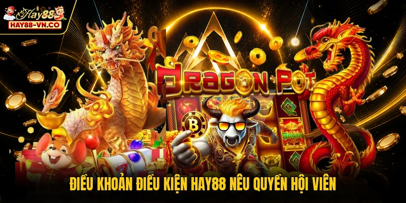 Điều khoản điều kiện HAY88 nêu quyền hội viên