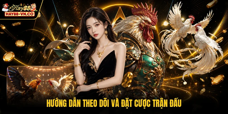 Hướng dẫn theo dõi và đặt cược trận đấu